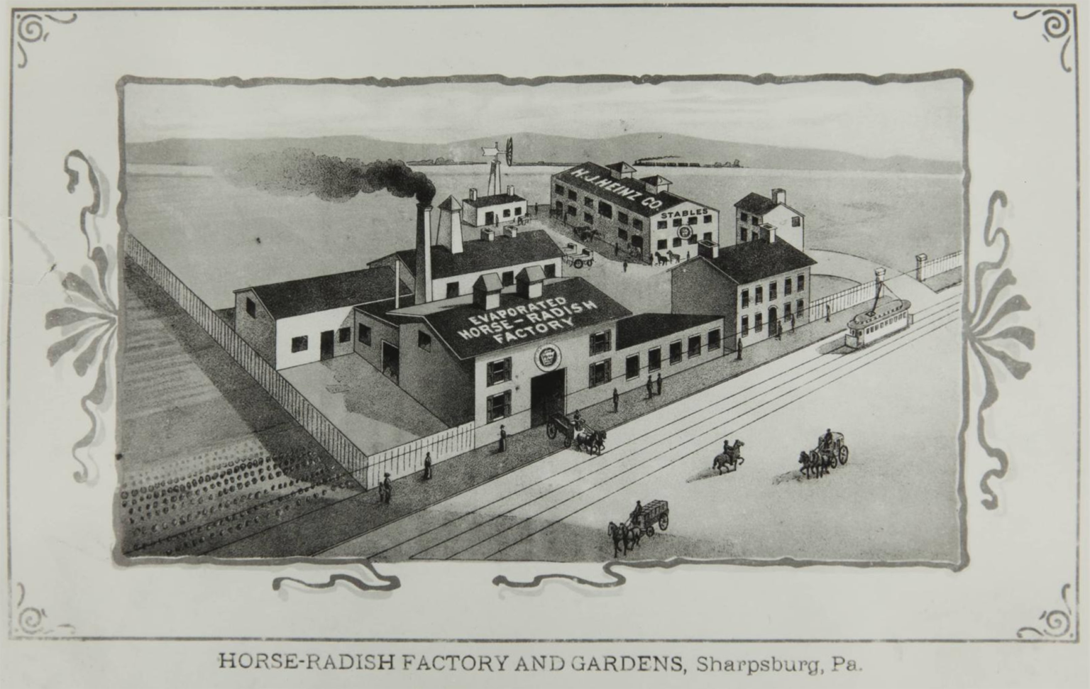 Illustration of the Heinz horseradish factory